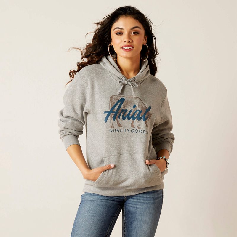 Ariat Real Grazing Hoodie Grise Femme | NBF-04963050