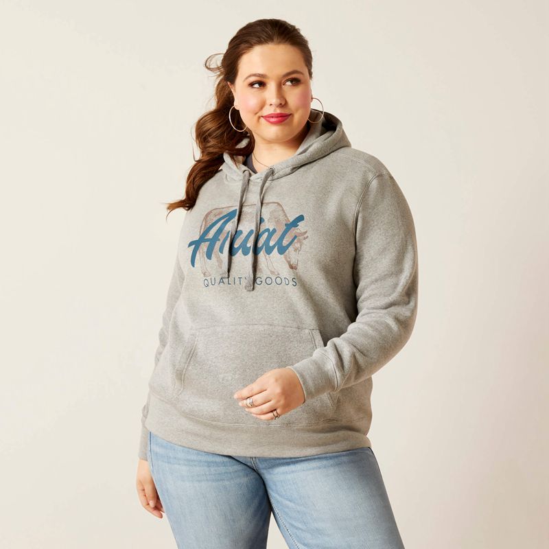 Ariat Real Grazing Hoodie Grise Femme | NBF-04963050