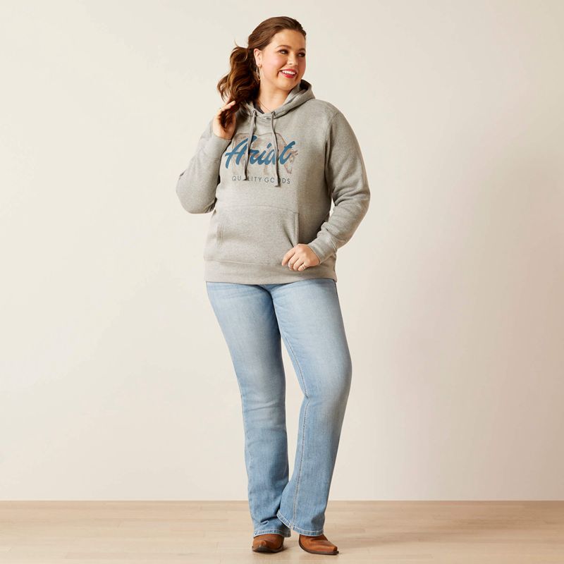 Ariat Real Grazing Hoodie Grise Femme | NBF-04963050