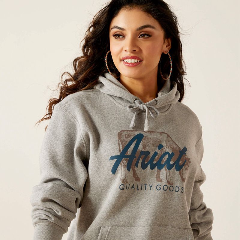 Ariat Real Grazing Hoodie Grise Femme | NBF-04963050