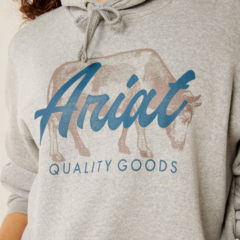 Ariat Real Grazing Hoodie Grise Femme | NBF-04963050