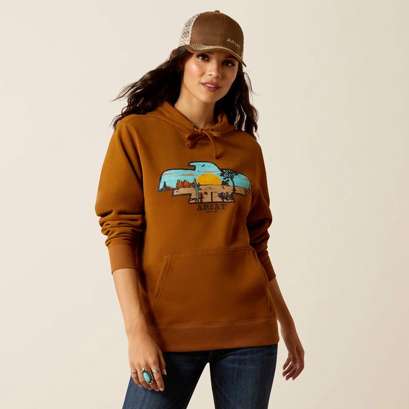 Ariat Horizon Hoodie Chestnut Horse Femme | NAA-77843476