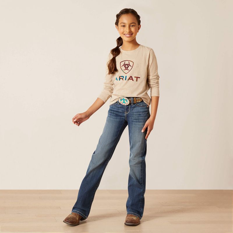 Ariat Serape Shield Shirt Oatmeal Heather Enfant | CQE-90059125