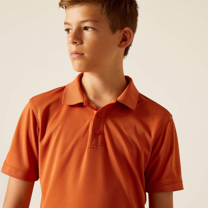 Ariat Tek Polo Foxes Enfant | GJC-70134527