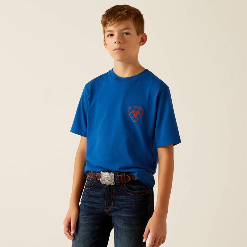 Ariat Horizon Oasis T-Shirt Bleu Royal Bleu Enfant | XBR-22946205