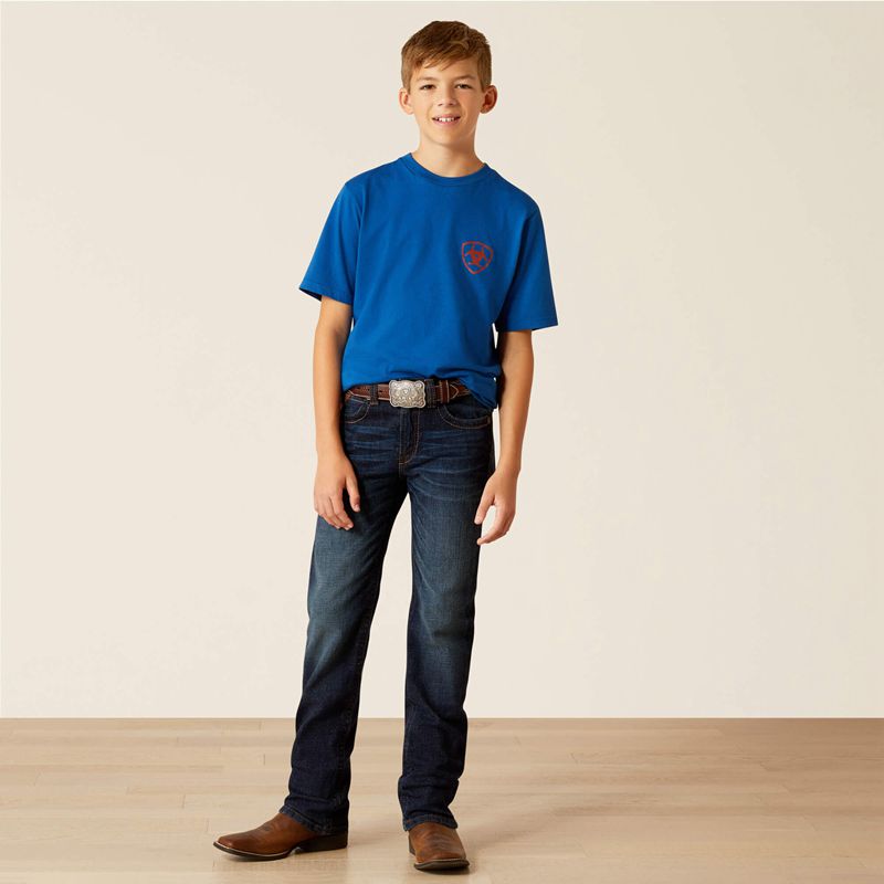 Ariat Horizon Oasis T-Shirt Bleu Royal Bleu Enfant | XBR-22946205