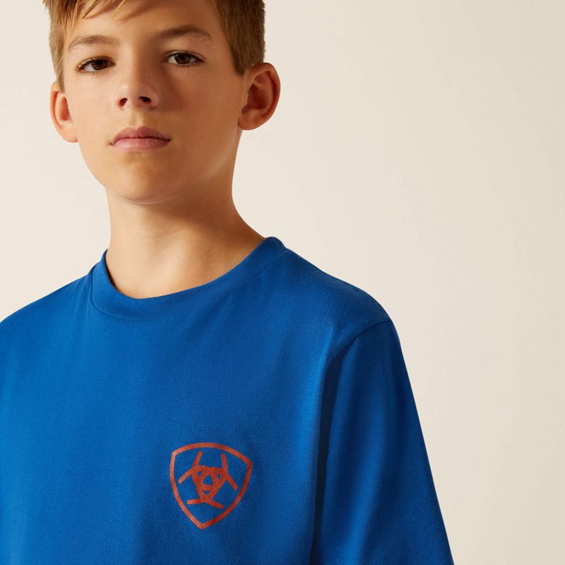 Ariat Horizon Oasis T-Shirt Bleu Royal Bleu Enfant | XBR-22946205