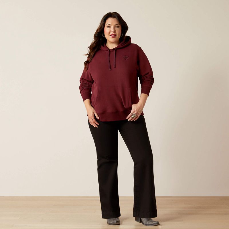 Ariat Logo 2.0 Hoodie Tawny Port Femme | FFB-82180045