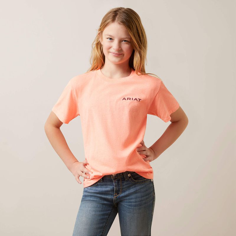 Ariat Gila River Tee Neon Peach Heather Enfant | UFP-81675322