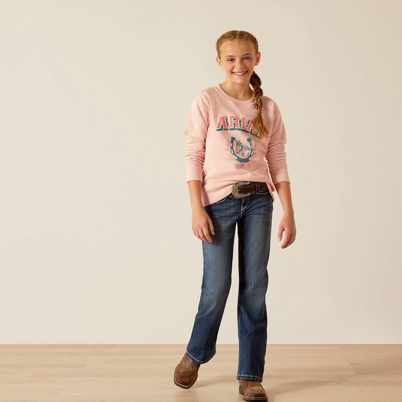 Ariat College Sweatshirt Rose Enfant | RTF-93817899