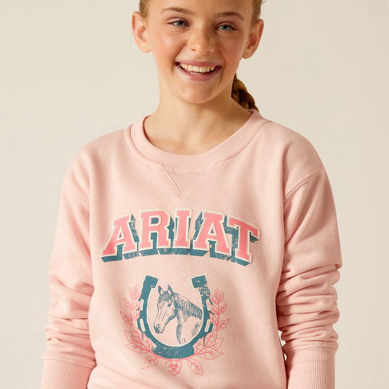 Ariat College Sweatshirt Rose Enfant | RTF-93817899