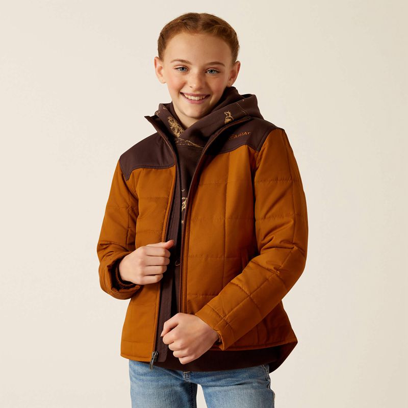 Ariat Crius Jacket Chestnut Horse/Chocolate Plum Enfant | IVH-97096037