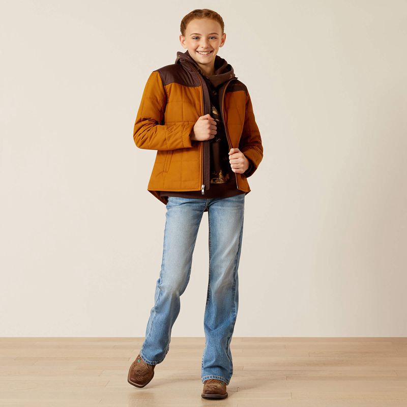 Ariat Crius Jacket Chestnut Horse/Chocolate Plum Enfant | IVH-97096037