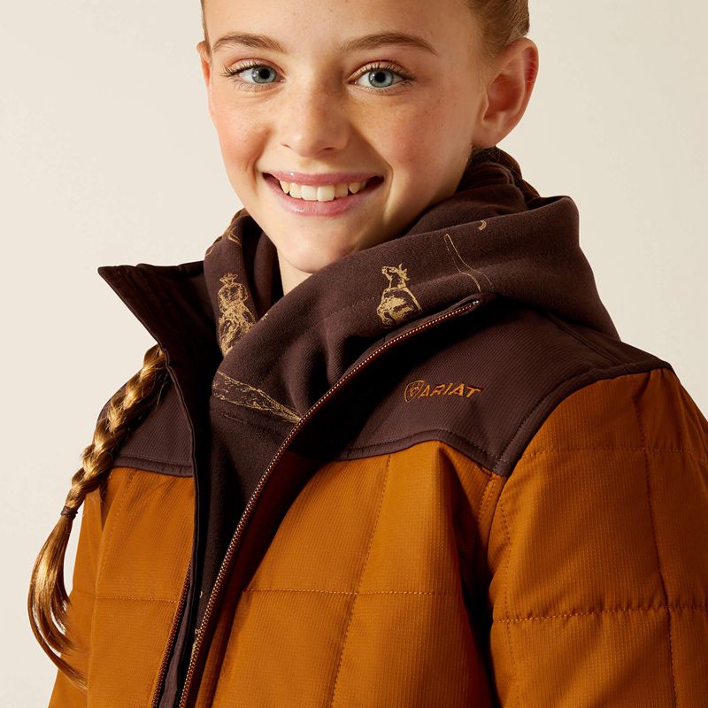 Ariat Crius Jacket Chestnut Horse/Chocolate Plum Enfant | IVH-97096037