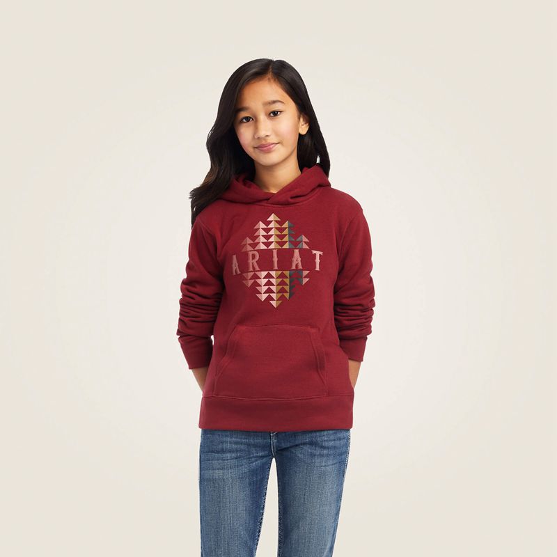 Ariat Real Beartooth Hoodie Rouge Enfant | PKN-52198308