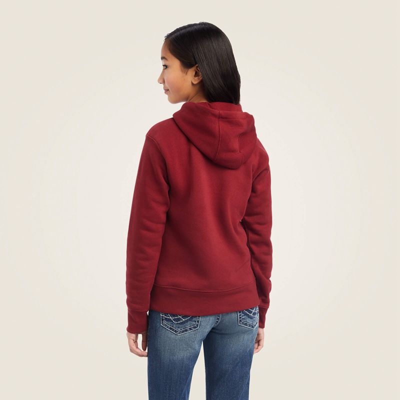 Ariat Real Beartooth Hoodie Rouge Enfant | PKN-52198308