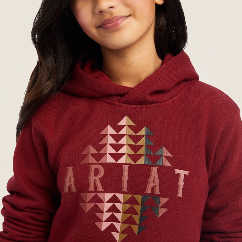 Ariat Real Beartooth Hoodie Rouge Enfant | PKN-52198308