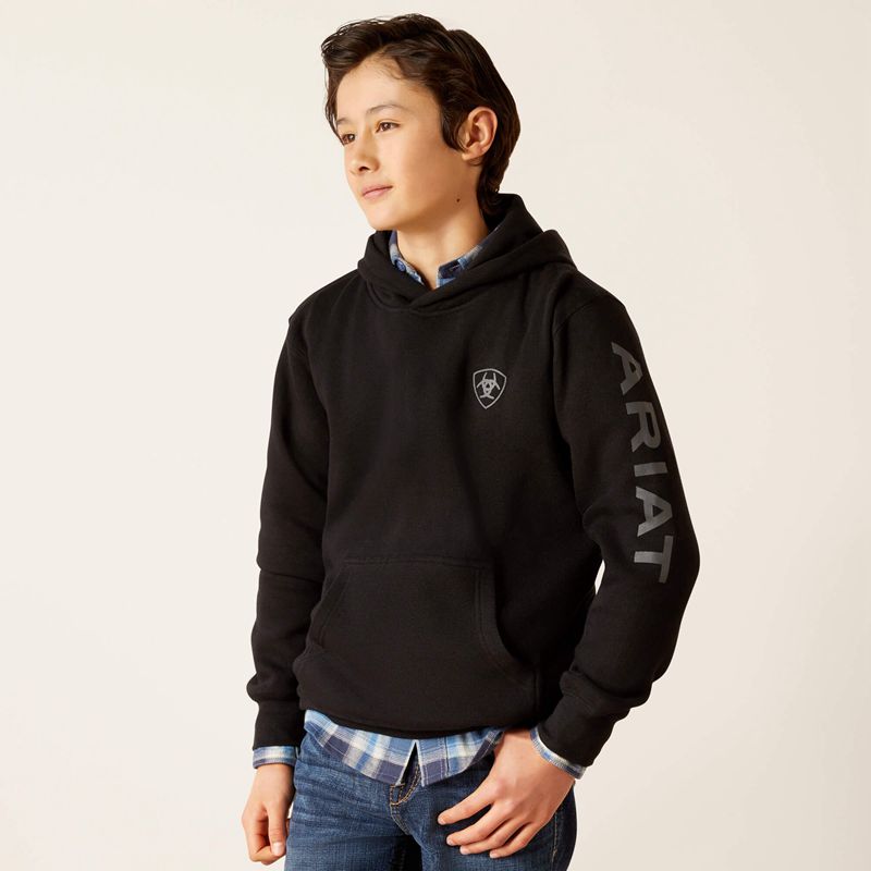 Ariat Logo Hoodie Noir Enfant | ZCO-52475828