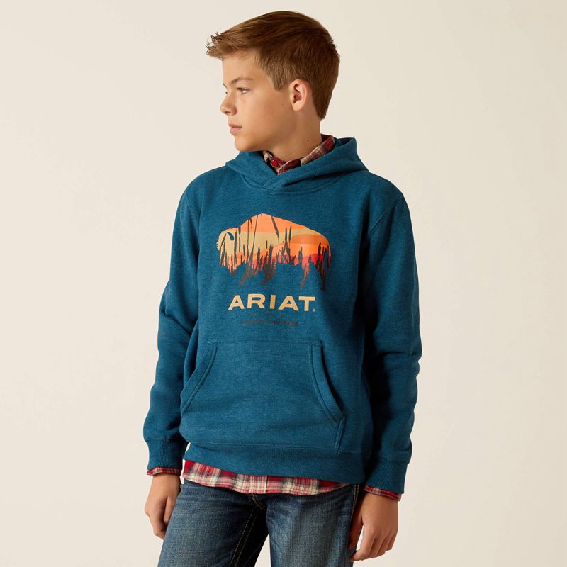 Ariat Bison Plains Hoodie Hydra Heather Enfant | XRV-63609886