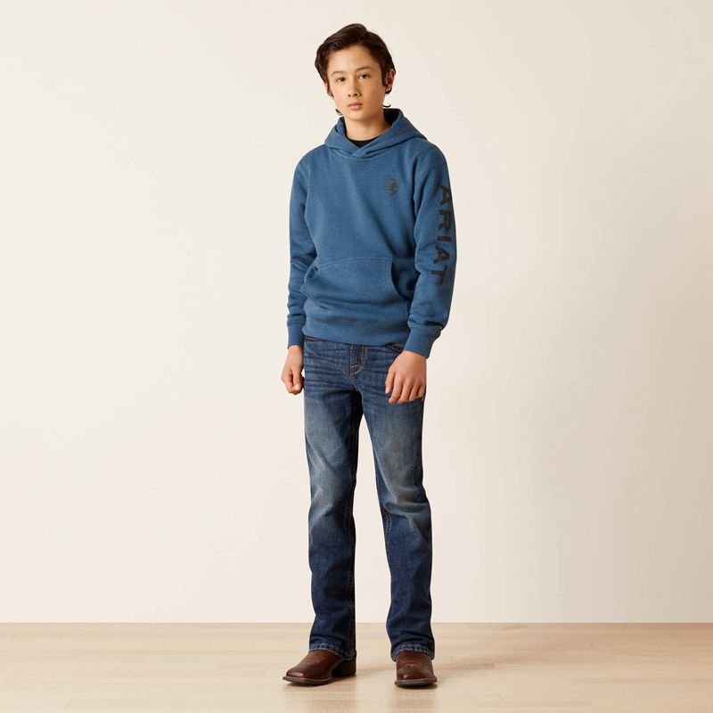 Ariat Logo Hoodie Poseidon Enfant | YVX-62900104