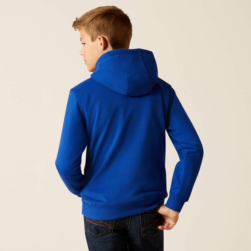 Ariat Breakthru Hoodie Surf The Web Enfant | BBM-72535531