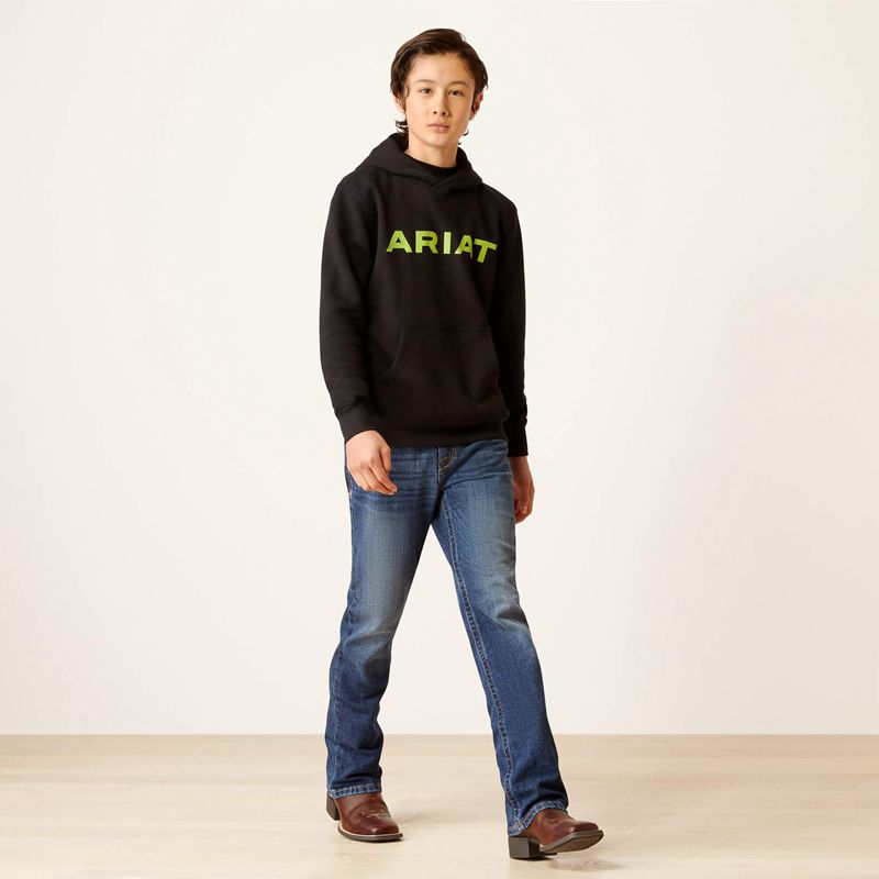 Ariat Front Logo Hoodie Noir Enfant | BDN-09286426