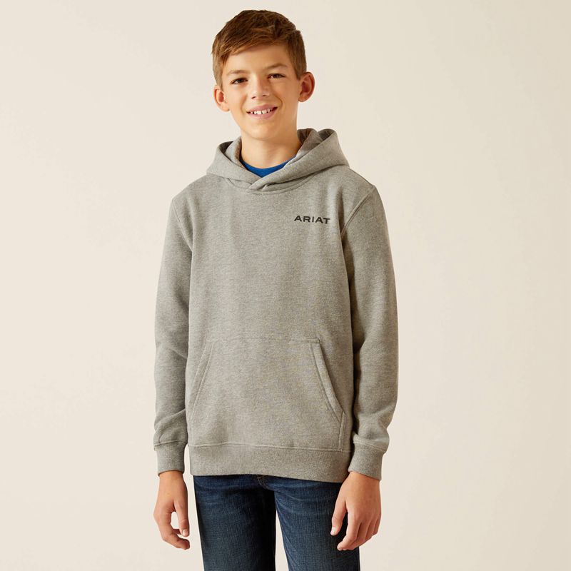 Ariat Bold Hex Hoodie Grise Enfant | MXH-93247395