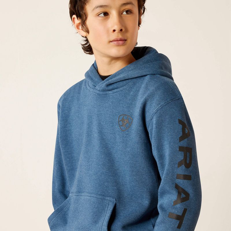 Ariat Logo Hoodie Poseidon Enfant | YVX-62900104