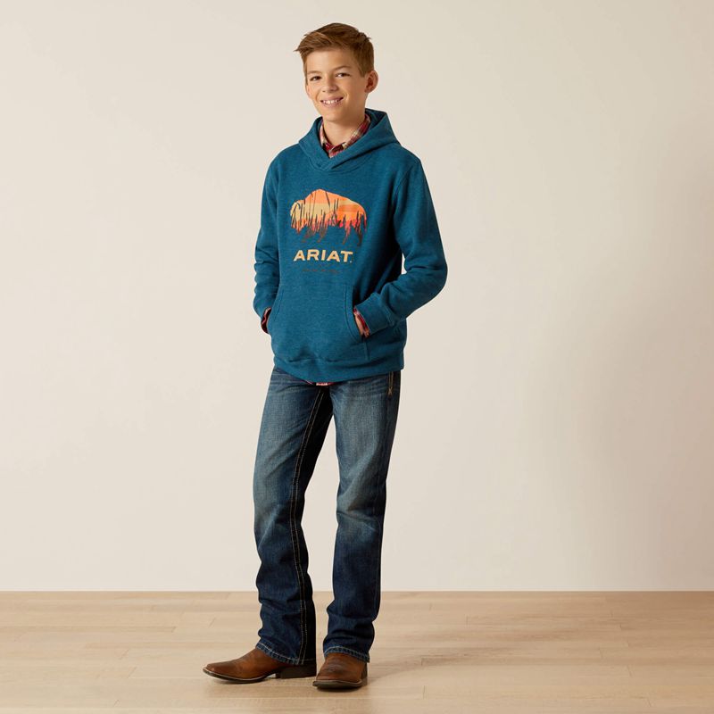 Ariat Bison Plains Hoodie Hydra Heather Enfant | XRV-63609886