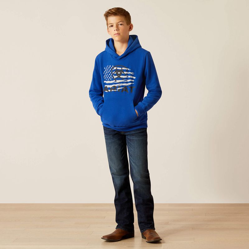 Ariat Breakthru Hoodie Surf The Web Enfant | BBM-72535531