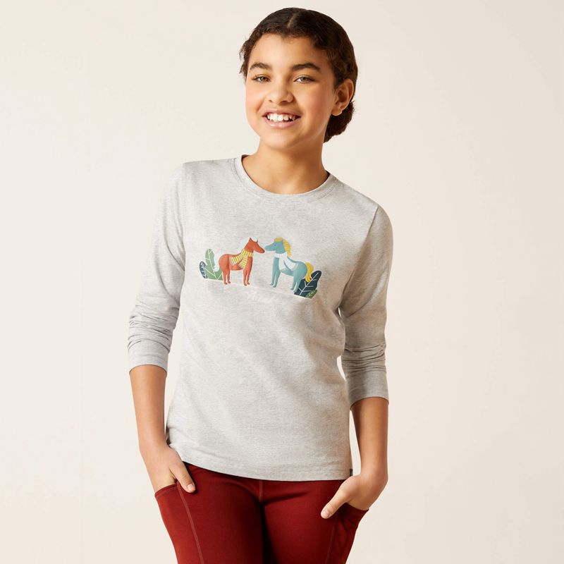 Ariat Winter Fashions T-Shirt Grise Enfant | BWS-52802333