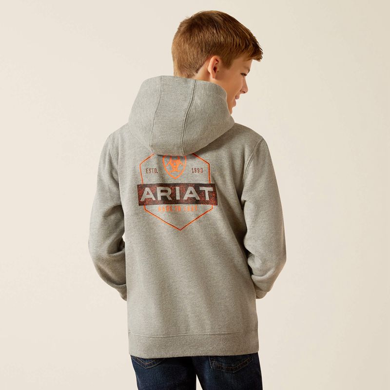 Ariat Bold Hex Hoodie Grise Enfant | MXH-93247395