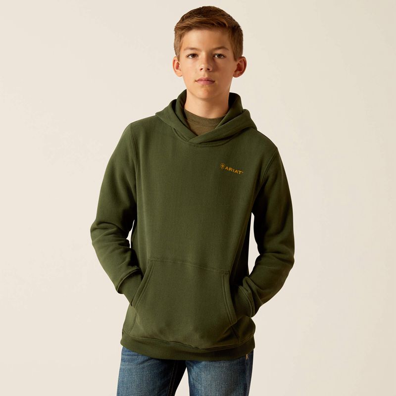 Ariat Barbwire Skull Hoodie Vert Foncé Enfant | TDO-49888876