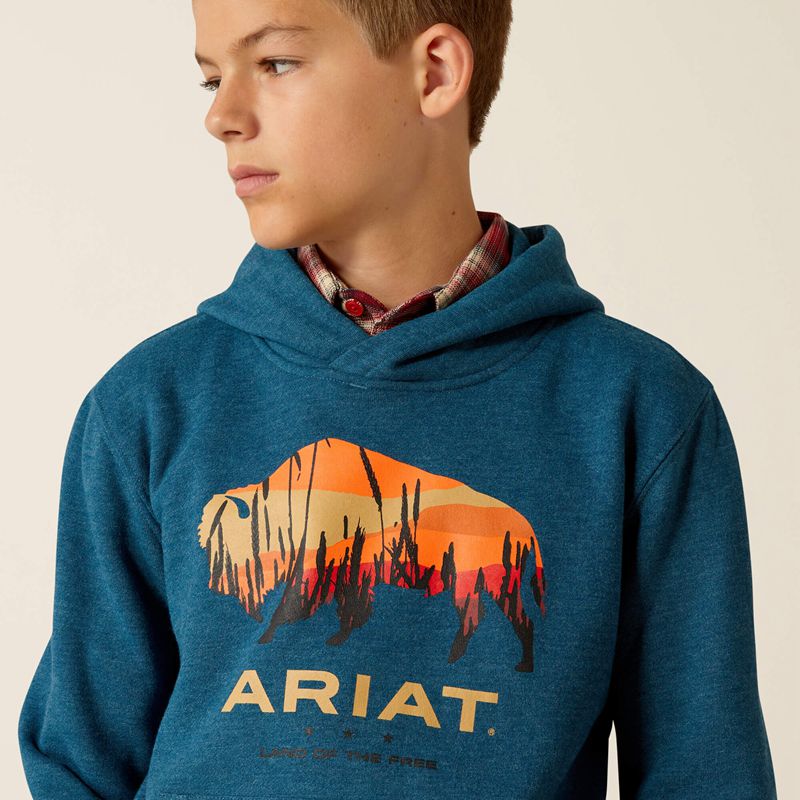 Ariat Bison Plains Hoodie Hydra Heather Enfant | XRV-63609886