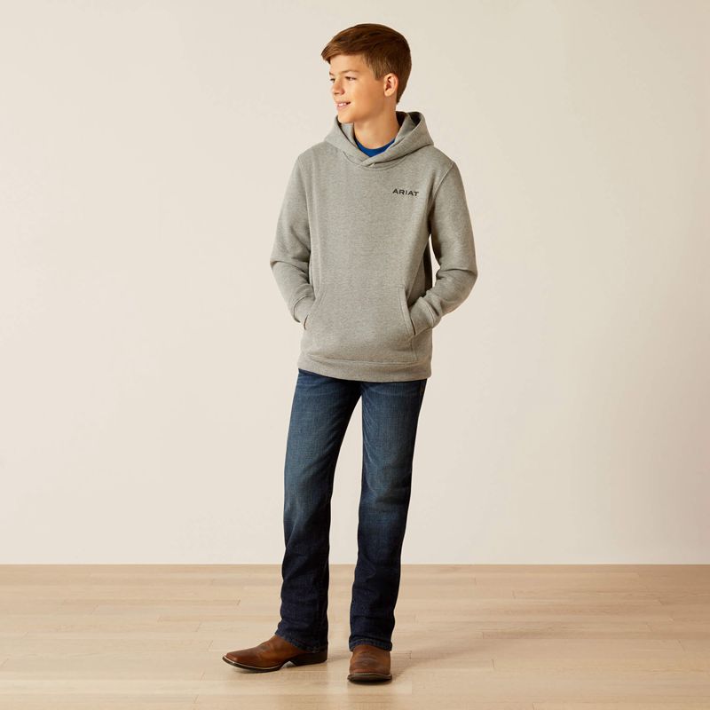 Ariat Bold Hex Hoodie Grise Enfant | MXH-93247395