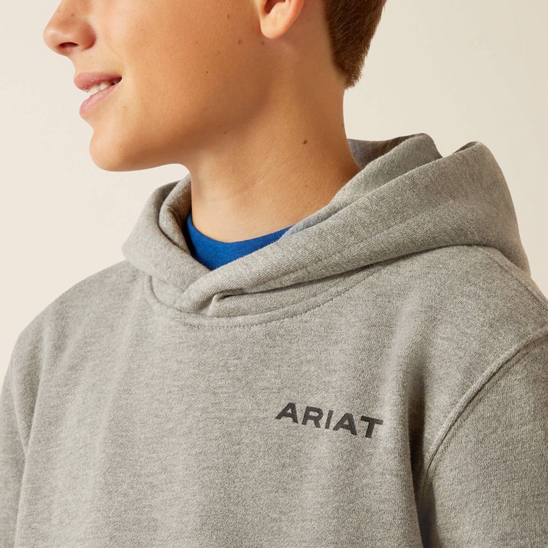 Ariat Bold Hex Hoodie Grise Enfant | MXH-93247395