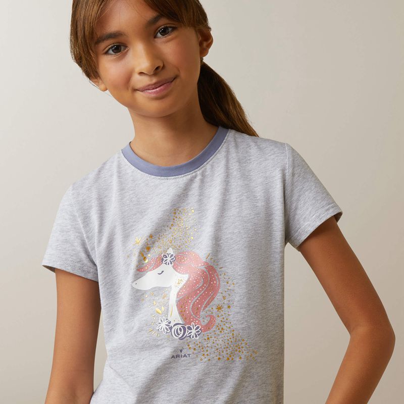 Ariat Imagine T-Shirt Grise Enfant | QKB-15327674