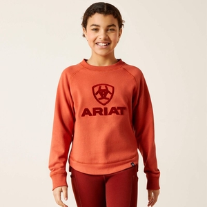 Ariat Benicia Sweatshirt Burnt Brick Enfant | RXX-67858275