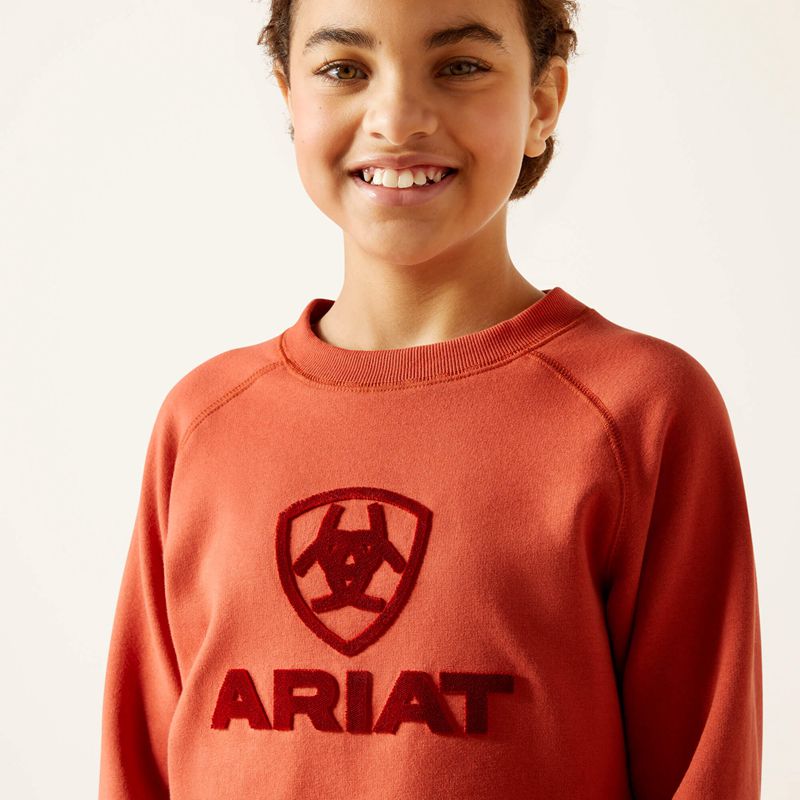 Ariat Benicia Sweatshirt Burnt Brick Enfant | RXX-67858275