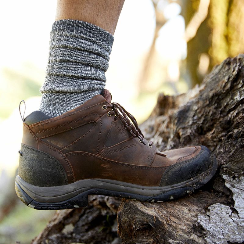 Ariat Terrain Waterproof Boot Cuivre Homme | USI-30327826