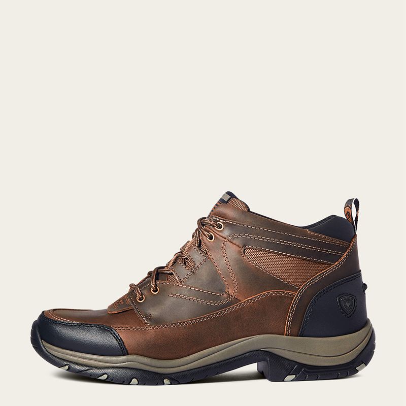 Ariat Terrain Marron Homme | LRL-57382167