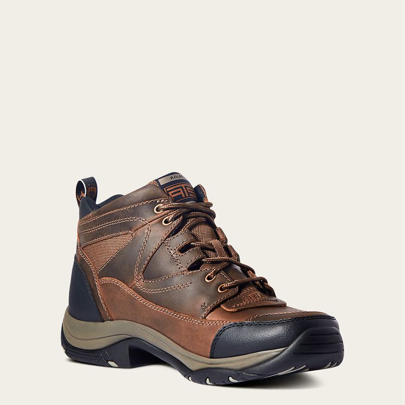 Ariat Terrain Marron Homme | LRL-57382167