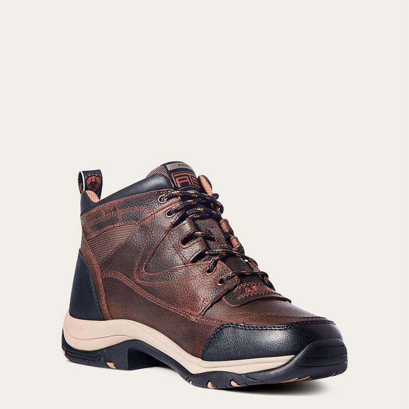 Ariat Terrain Marron Homme | ULF-68676466