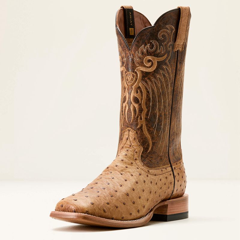 Ariat Rio Cowboy Boot Honey Tan Full Quill Ostrich/Chestnut Br Homme | VWK-46033534