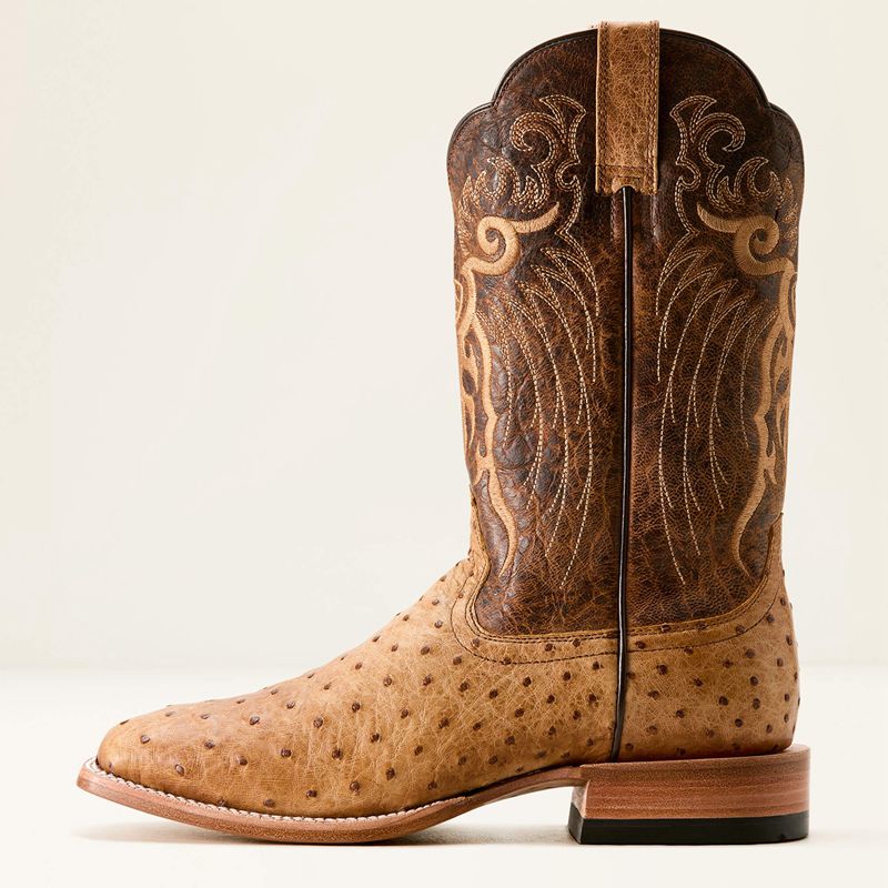 Ariat Rio Cowboy Boot Honey Tan Full Quill Ostrich/Chestnut Br Homme | VWK-46033534