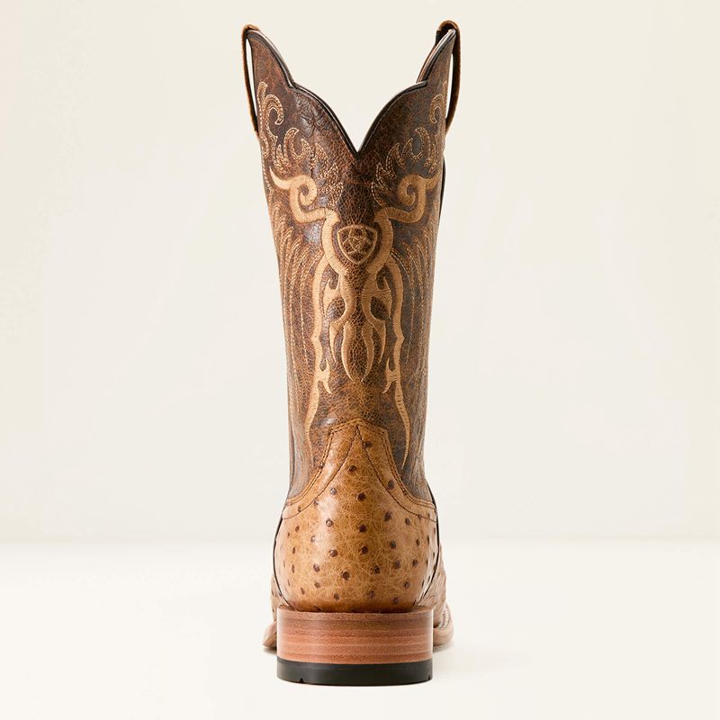 Ariat Rio Cowboy Boot Honey Tan Full Quill Ostrich/Chestnut Br Homme | VWK-46033534