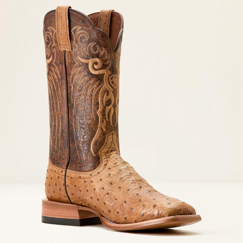 Ariat Rio Cowboy Boot Honey Tan Full Quill Ostrich/Chestnut Br Homme | VWK-46033534