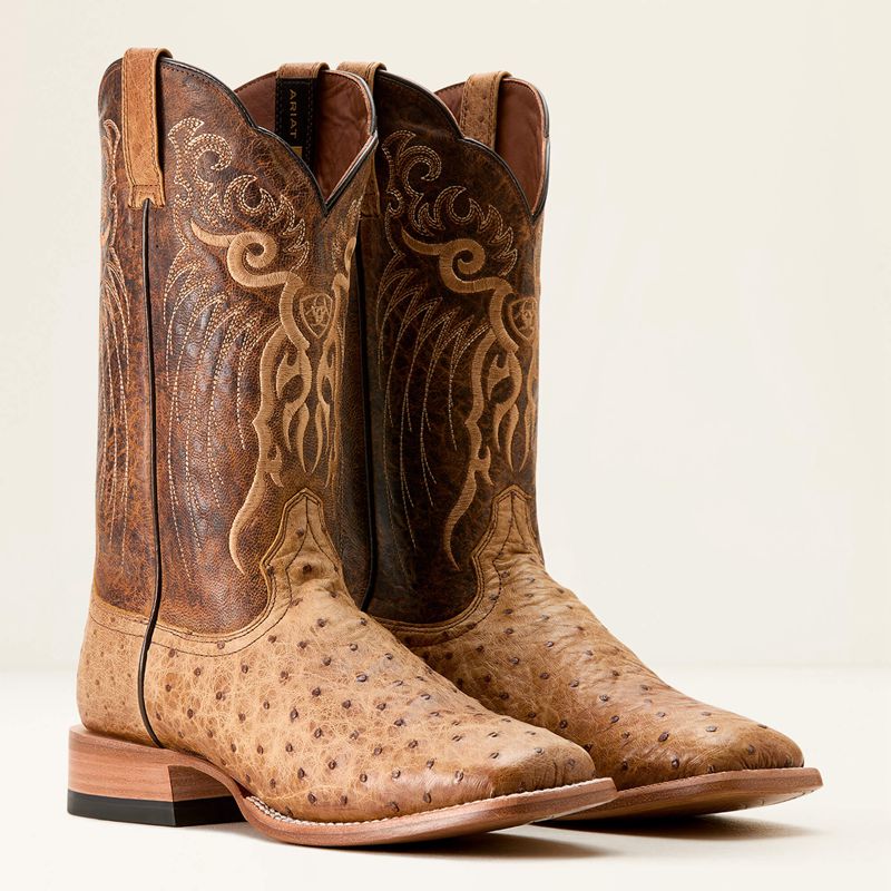 Ariat Rio Cowboy Boot Honey Tan Full Quill Ostrich/Chestnut Br Homme | VWK-46033534