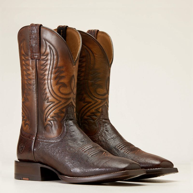 Ariat Paxton Pro Cowboy Boot Marron Foncé Homme | QCN-51111155