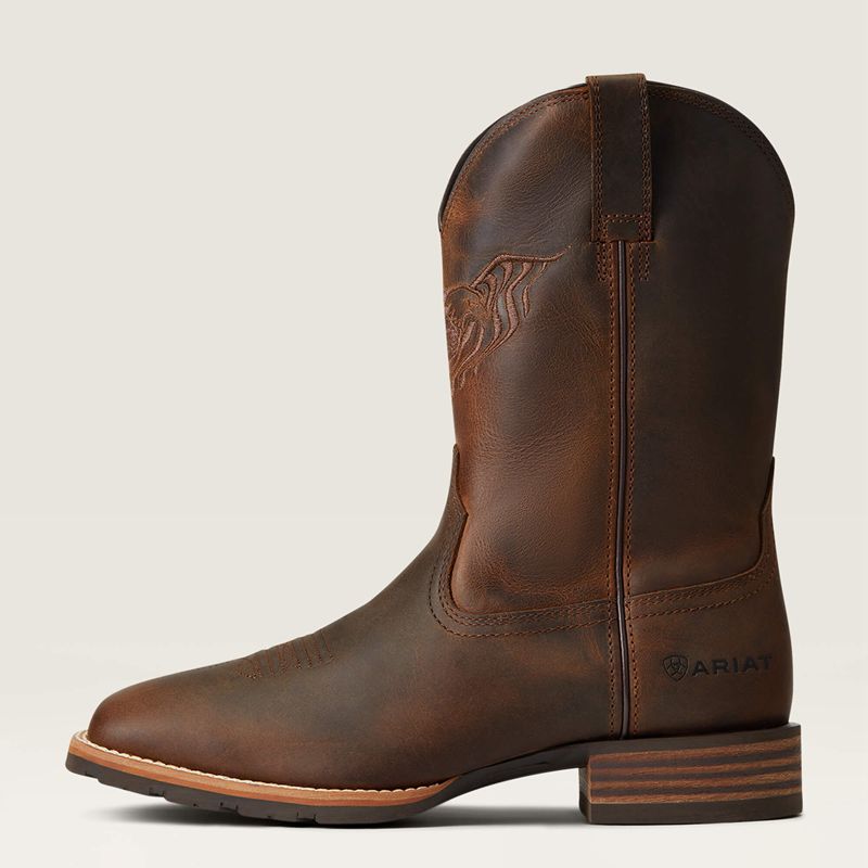 Ariat Hybrid Fly High Western Boot Marron Homme | EUK-38876767